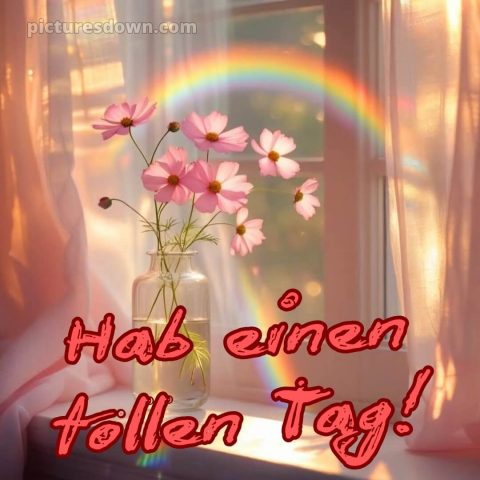 Schönen tag bilder sprüche bild Regenbogen kostenlos