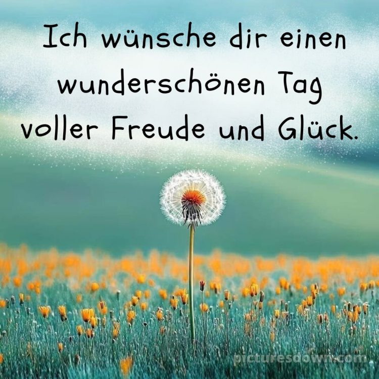 Schönen tag bilder sprüche bild Löwenzahn kostenlos