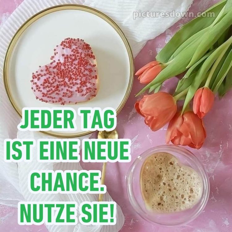 Schönen tag bilder sprüche bild Tulpen kostenlos