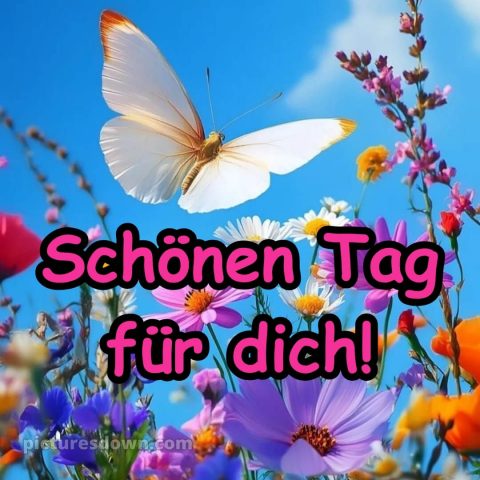 Schönen tag für dich bild Himmel kostenlos