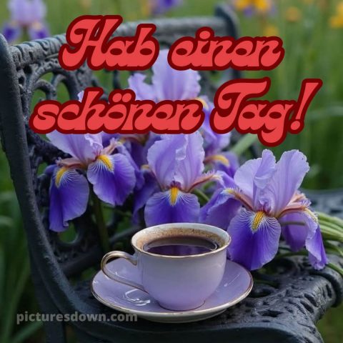 Schönen tag für dich bild Blumen kostenlos