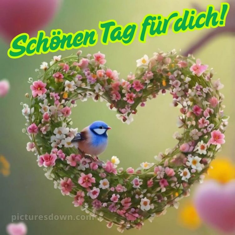 Schönen tag für dich bild Vogel kostenlos