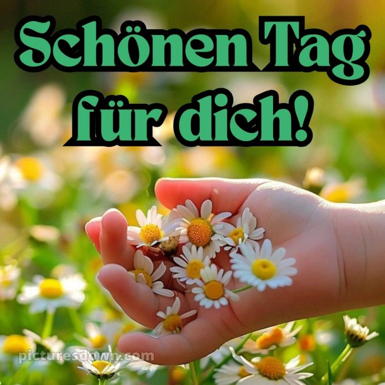 Schönen tag für dich bild Hand kostenlos