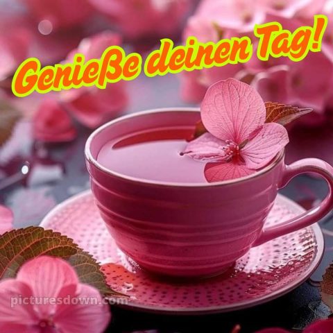 Schönen tag grüße kostenlos bild Geschmack kostenlos