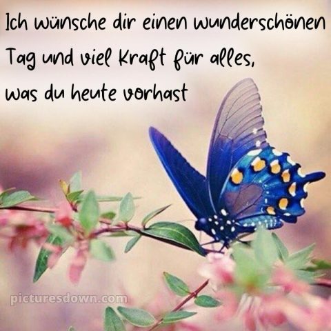 Schönen tag grüße kostenlos bild Karte kostenlos