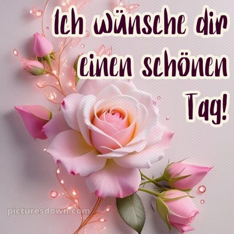 Schönen tag grüße kostenlos bild Rose kostenlos