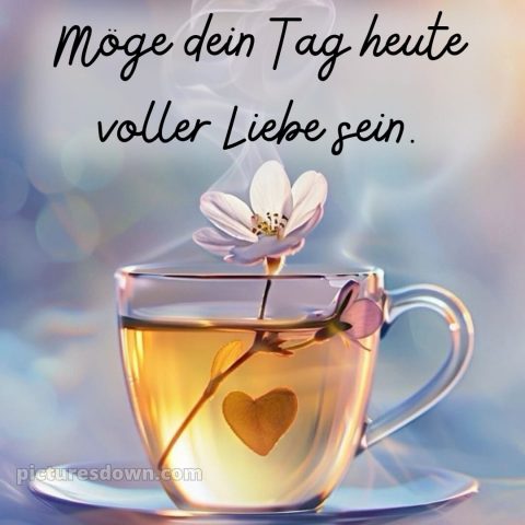 Schönen tag grüße kostenlos bild Tasse kostenlos