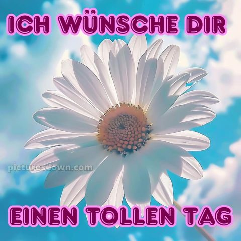 Schönen tag grüße kostenlos bild Himmel kostenlos