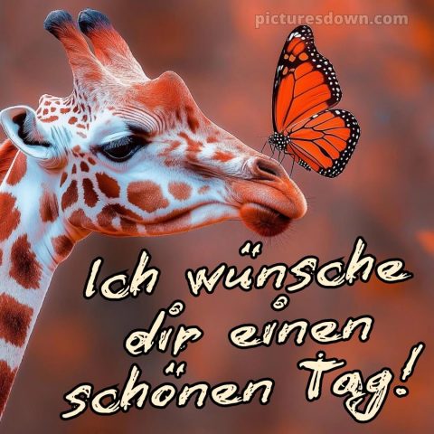 Schönen tag grüße kostenlos bild Giraffe kostenlos