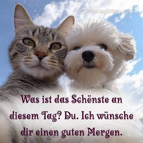 Schönen tag lustig bild Himmel kostenlos