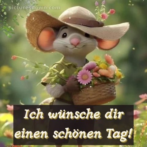 Schönen tag lustig bild Maus kostenlos