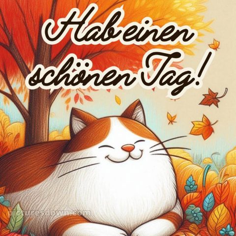 Schönen tag lustig bild Baum kostenlos