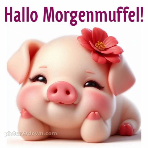 Schönen tag lustig bild Ferkel kostenlos
