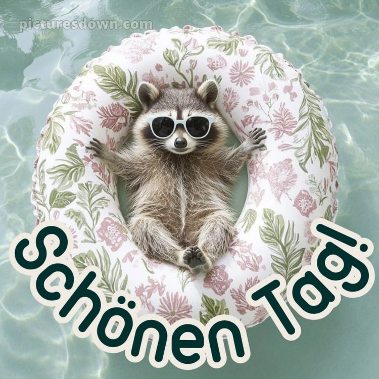 Schönen tag lustig bild Waschbär kostenlos