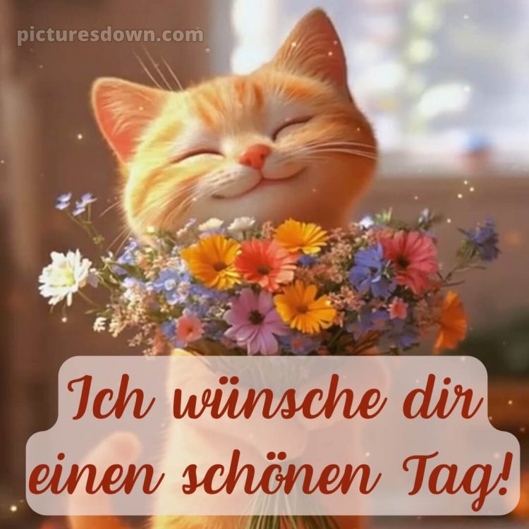 Schönen tag lustig bild Katze kostenlos