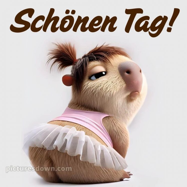 Schönen tag lustig bild Rock kostenlos