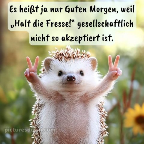 Schönen tag lustig bild Igel kostenlos