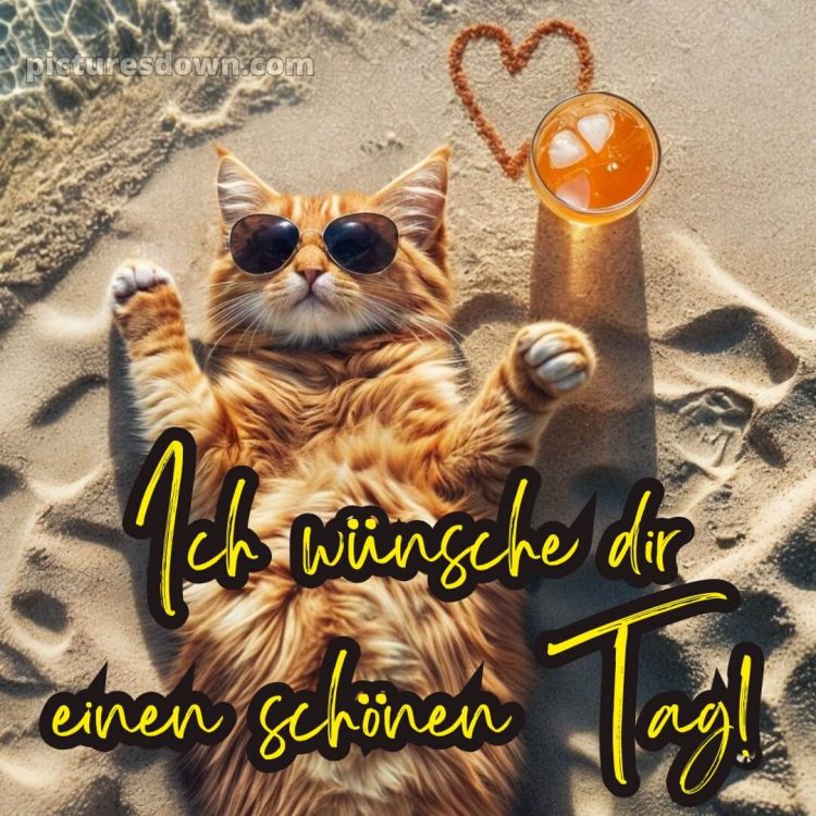 Schönen tag lustig bild Strand kostenlos