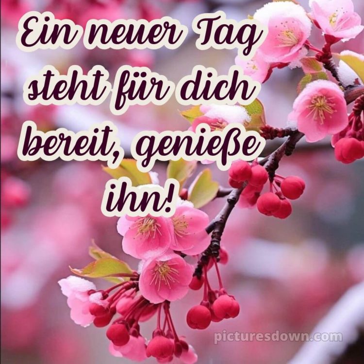 Schönen tag noch bild Zweigstelle kostenlos