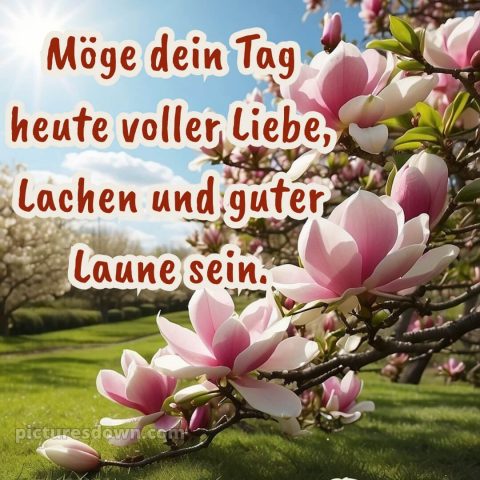 Schönen tag noch bild Bäume kostenlos