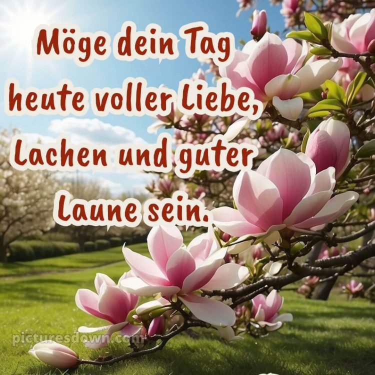 Schönen tag noch bild Bäume kostenlos