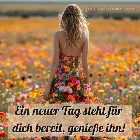 Schönen tag noch bild Feld kostenlos