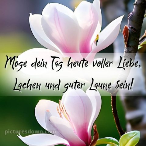 Schönen tag noch bild Karte kostenlos