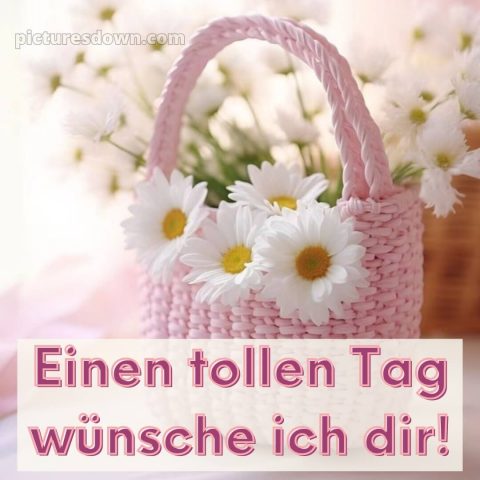 Schönen tag sprüche für whatsapp bild Tasche kostenlos