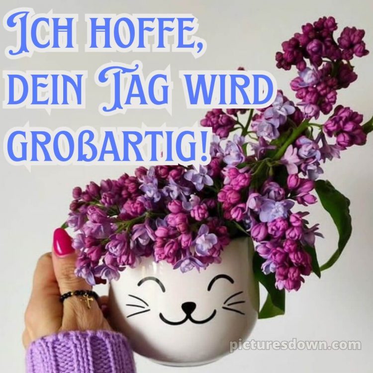 Schönen tag sprüche für whatsapp bild Flieder kostenlos