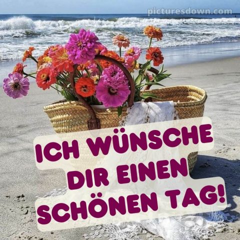 Schönen tag sprüche für whatsapp bild Meer kostenlos