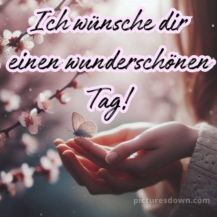Schönen tag sprüche für whatsapp bild Schmetterling kostenlos