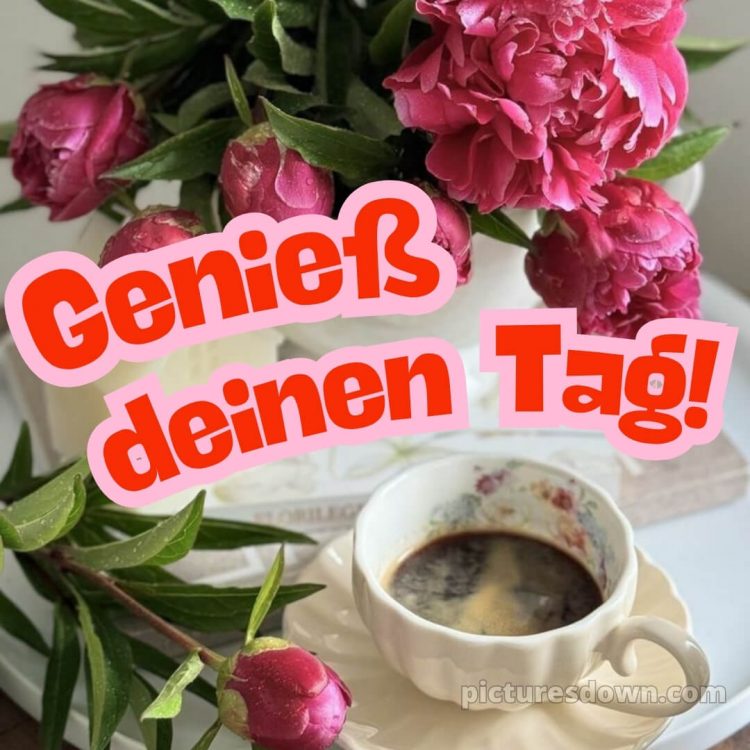 Schönen tag sprüche für whatsapp bild Pfingstrosen kostenlos