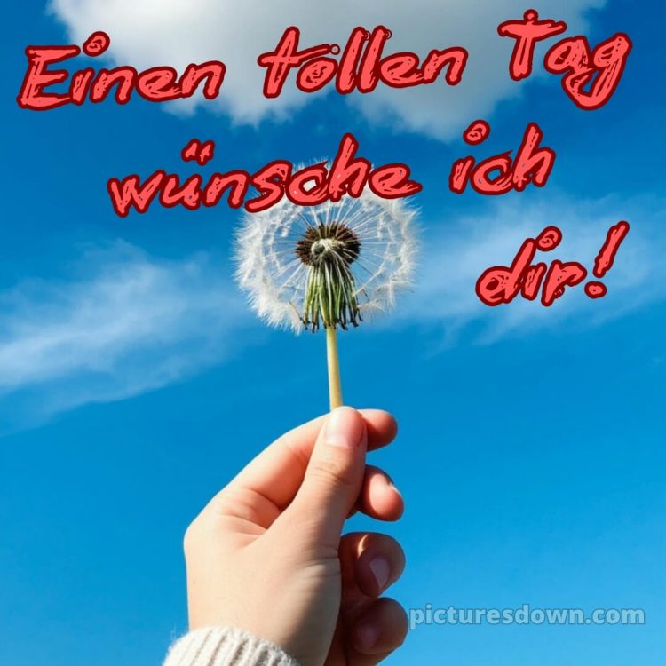 Schönen tag sprüche für whatsapp bild Himmel kostenlos