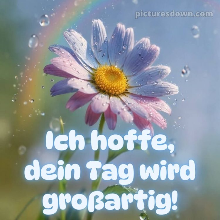 Schönen tag sprüche für whatsapp bild Regenbogen kostenlos