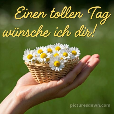 Schönen tag sprüche für whatsapp bild Hand kostenlos