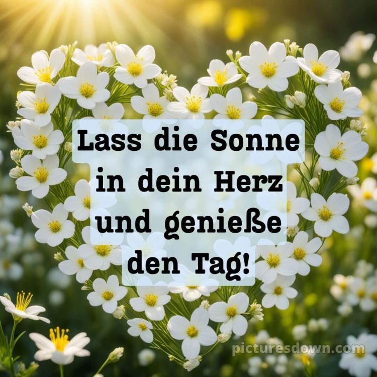Schönen tag sprüche für whatsapp bild Sonne kostenlos