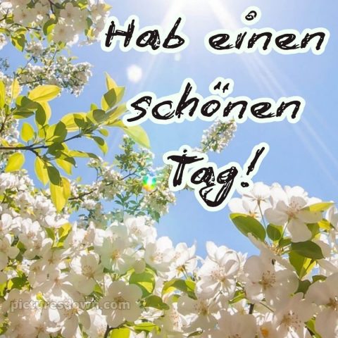 Schönen tag whatsapp kostenlos bild Himmel kostenlos