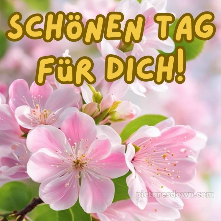 Schönen tag whatsapp kostenlos bild Karte kostenlos