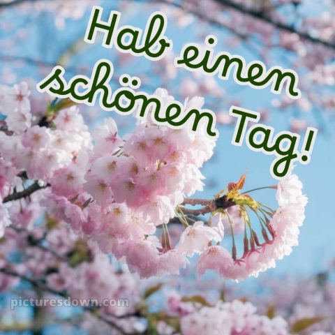 Schönen tag whatsapp kostenlos bild Zweigstellen kostenlos