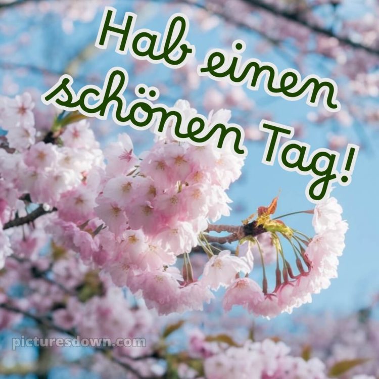 Schönen tag whatsapp kostenlos bild Zweigstellen kostenlos