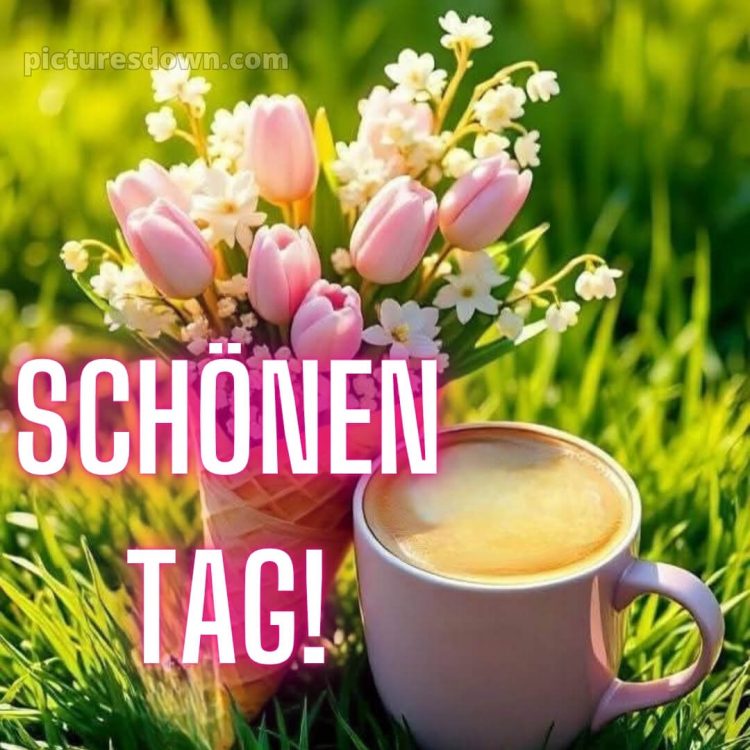 Schönen tag whatsapp kostenlos bild Gras kostenlos