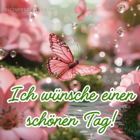 Schönen tag whatsapp kostenlos bild Tropfen kostenlos