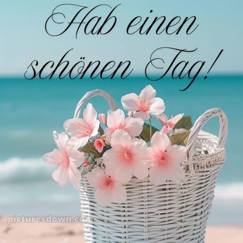 Schönen tag whatsapp kostenlos bild Korb kostenlos