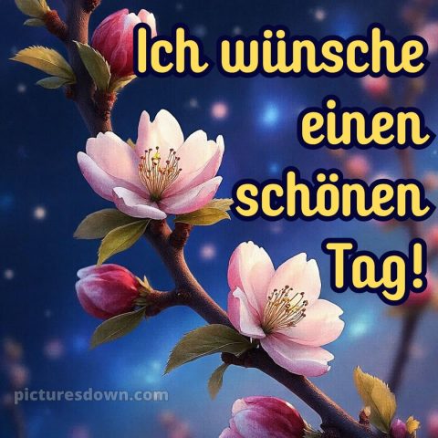 Schönen tag whatsapp kostenlos bild Sterne kostenlos