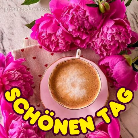 Schönen tag whatsapp kostenlos bild Pfingstrosen kostenlos