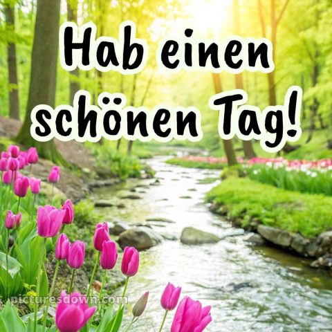 Schönen tag whatsapp kostenlos bild Bach kostenlos