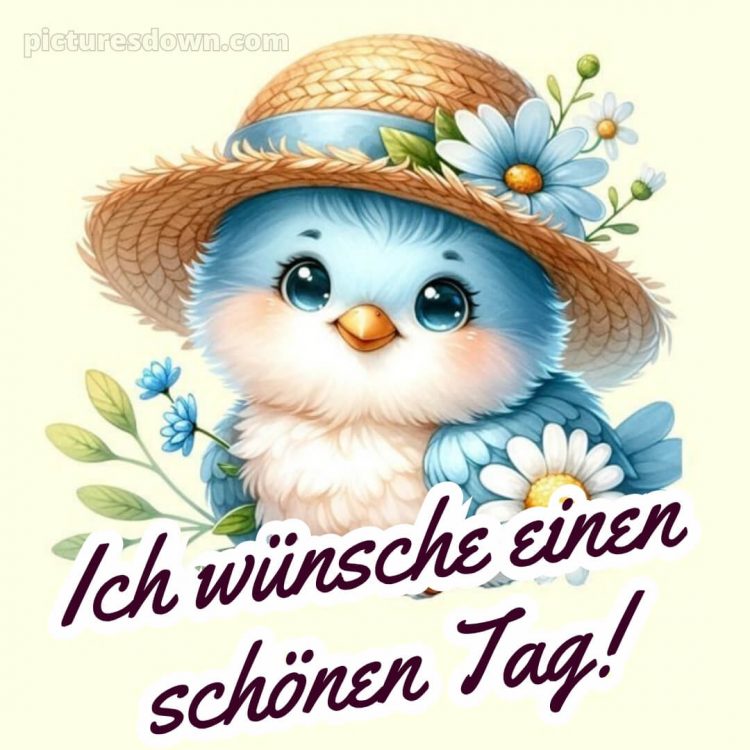 Schönen tag whatsapp kostenlos bild Vogel kostenlos