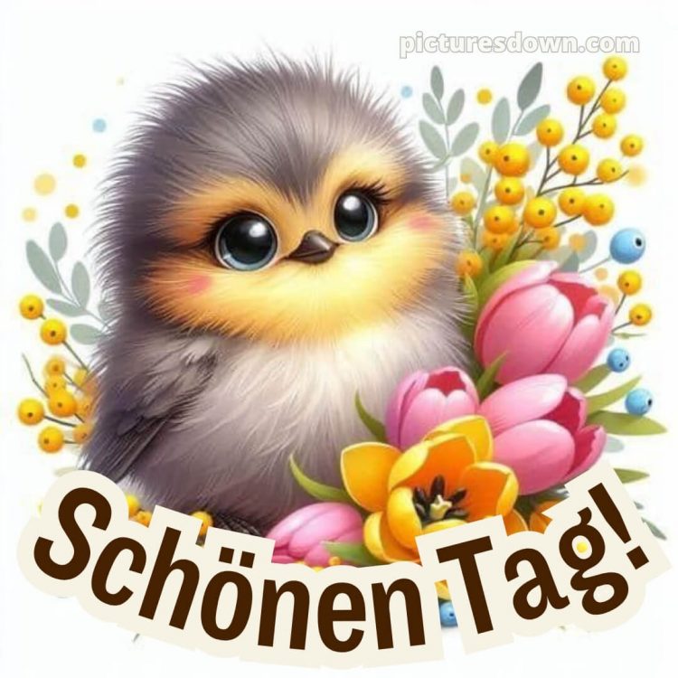 Schönen tag whatsapp kostenlos bild Blumen kostenlos