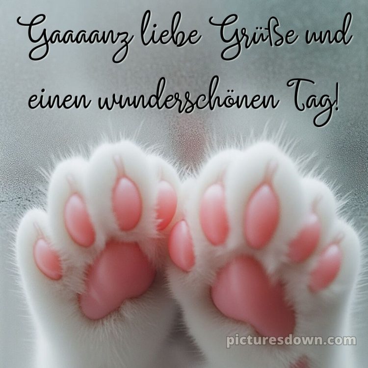 Spruch wünsche schönen tag guten morgen grüße für whatsapp bild Pfoten kostenlos