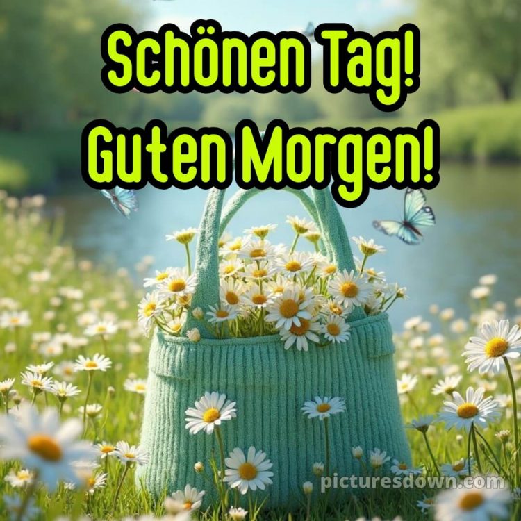 Spruch wünsche schönen tag guten morgen grüße für whatsapp bild Gänseblümchen kostenlos